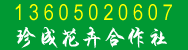 福建漳州漳浦沙西沙西珍成花卉专业合作社