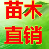 陕西杨凌锦绣万亩果树苗木繁育基地