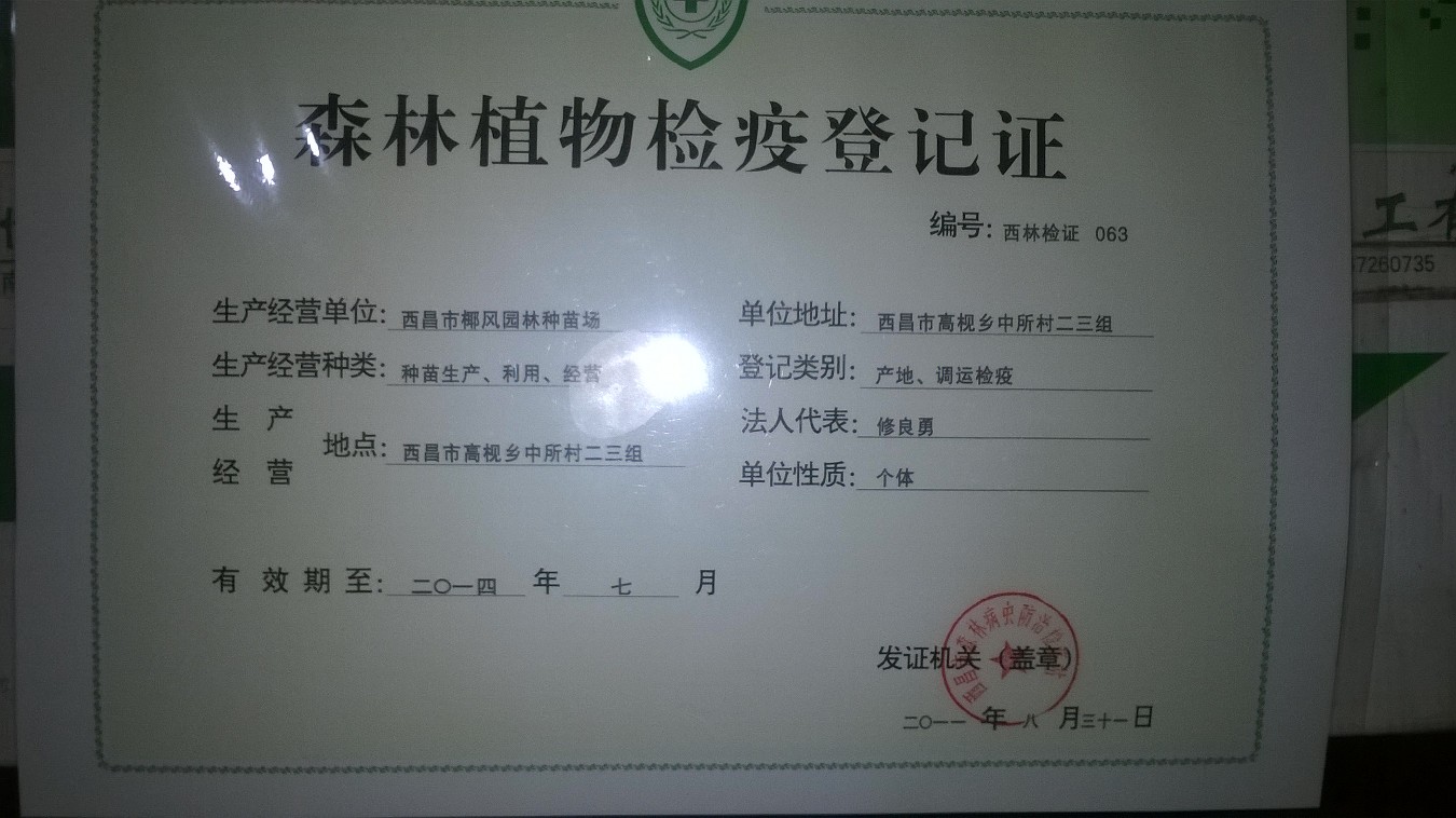 西昌市丽景园艺场