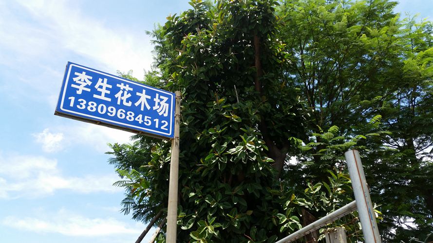 李生花木场