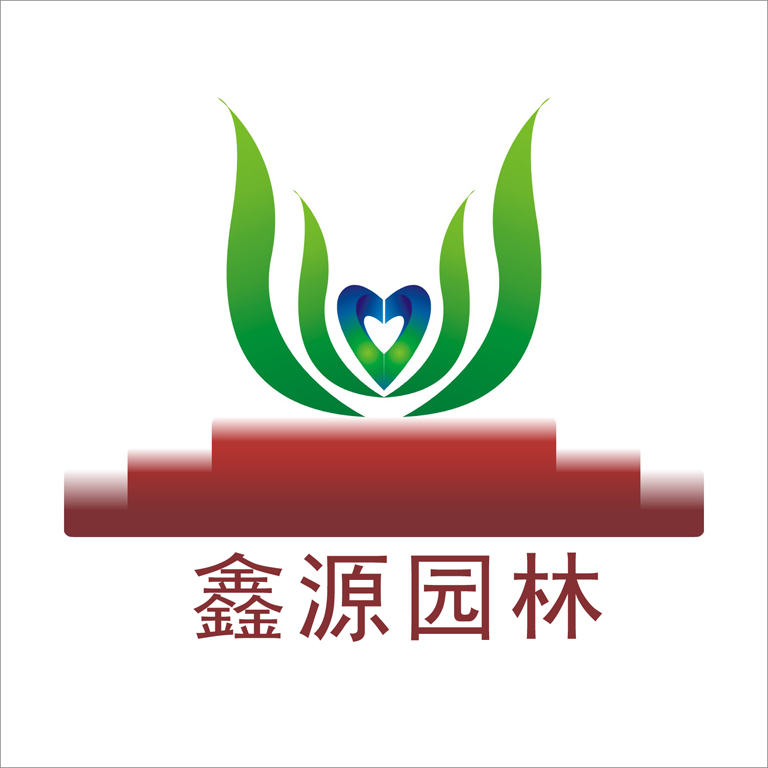 成都鑫源银柳批发