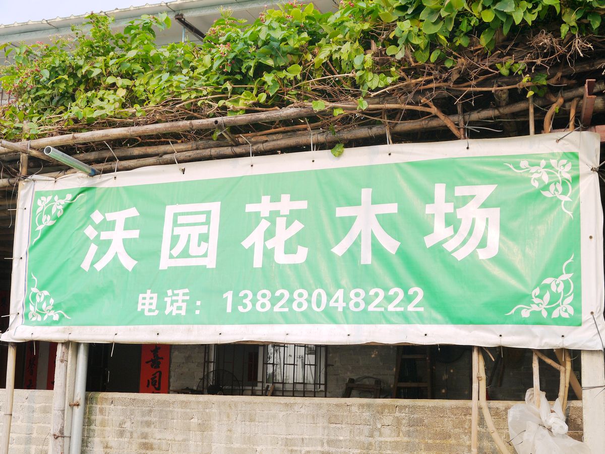 江门市司前沃园花木场