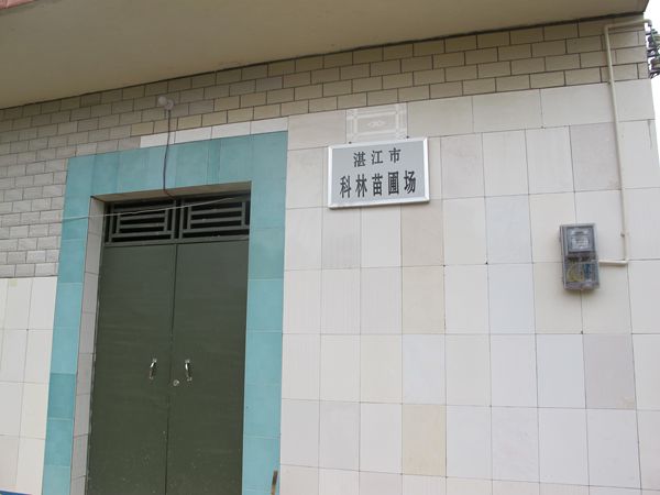 广东省湛江市科林苗圃场