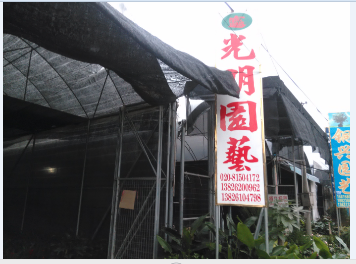 佛山市旺美兴园艺花木场