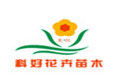 广西科好花卉苗木有限责任公司