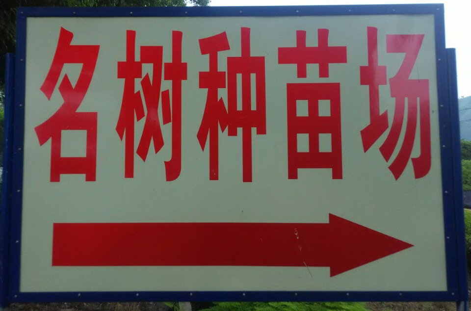阳春市名树种苗场