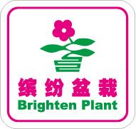 佛山金刚种苗