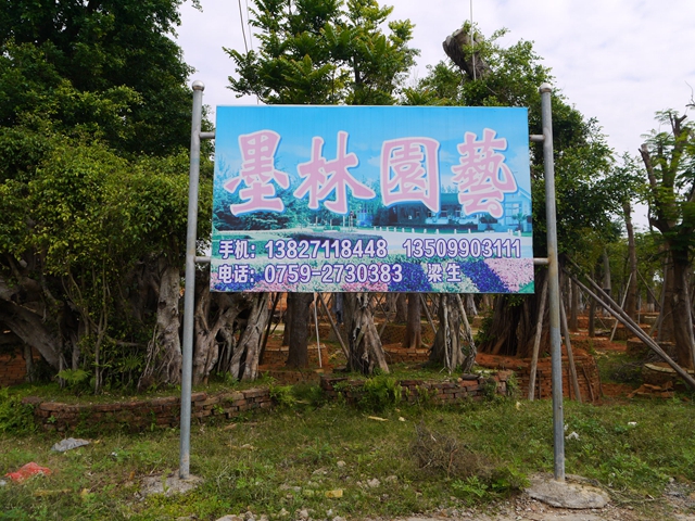 湛江墨林园艺场