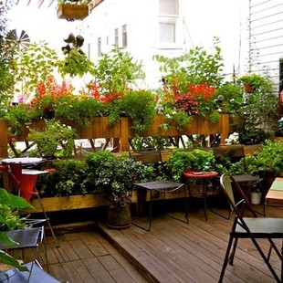 广州宏欣花卉有限公司