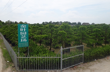 佛山金叶园艺场