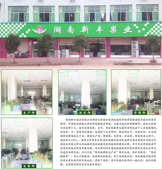 湖南新丰果业有限公司