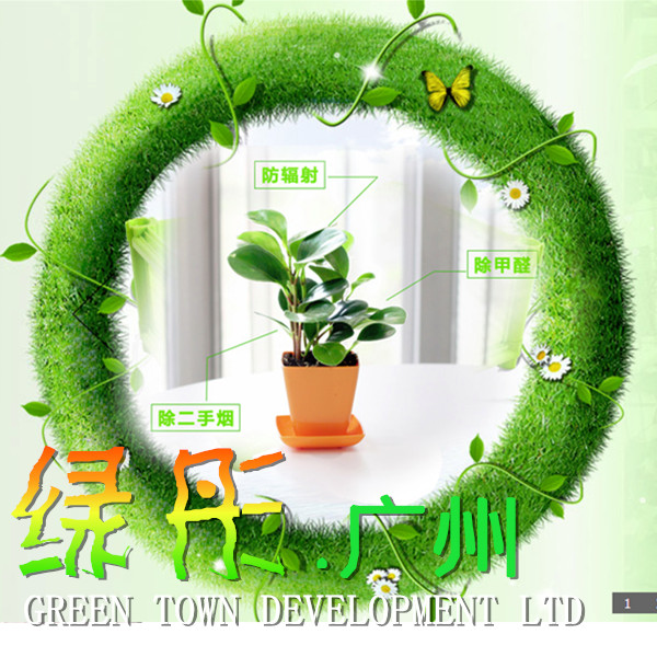 广州市绿彤园林园艺有限公司