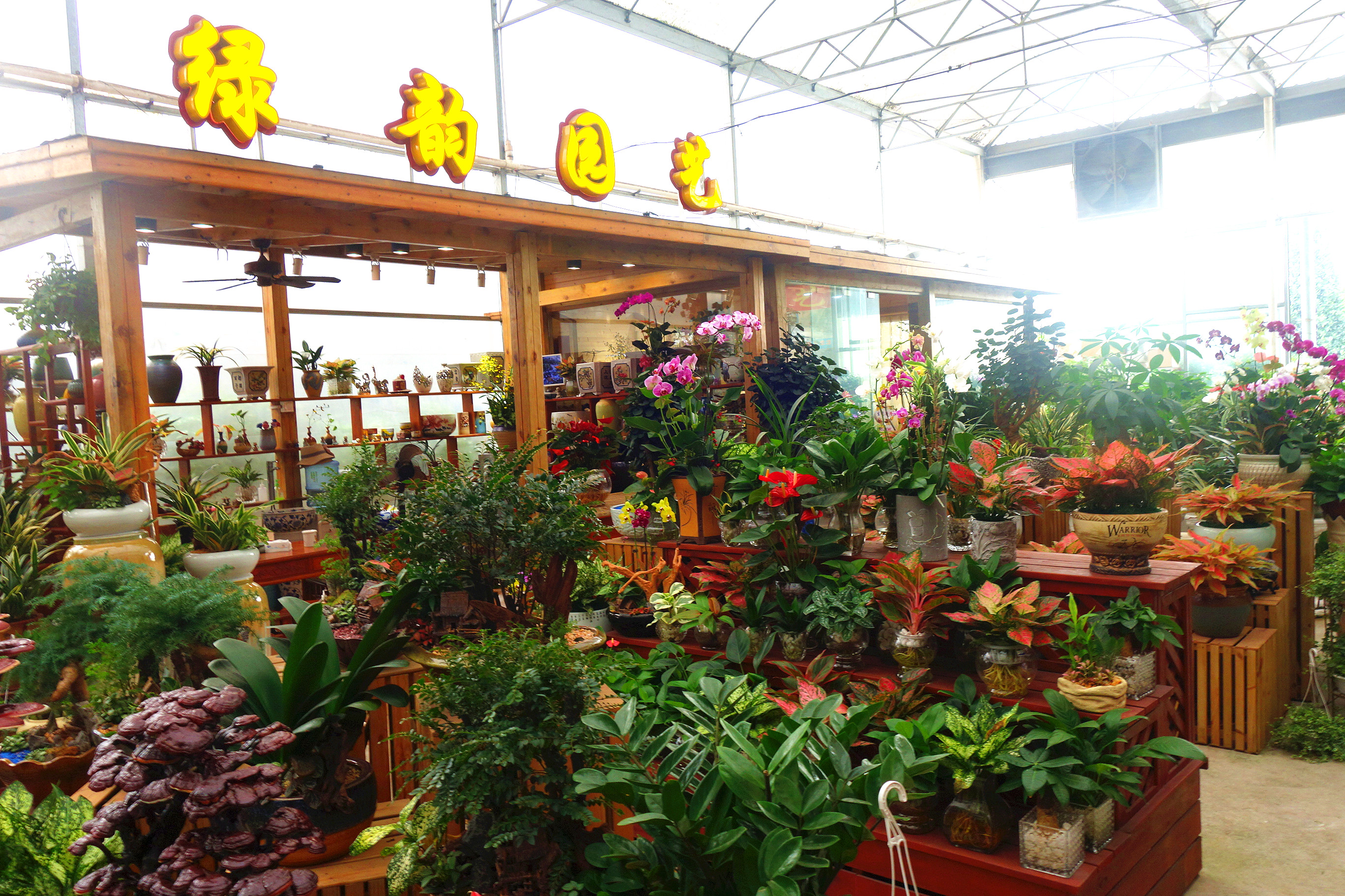 佛山市绿韵园艺