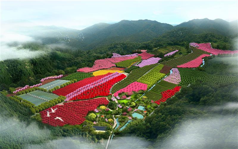 福建天苗农业发展有限公司