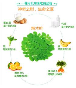 湖南德荣林业有限公司