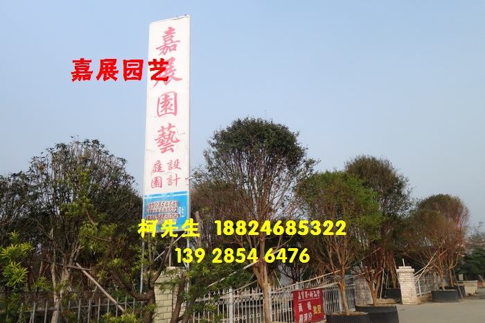 佛山市嘉展园艺
