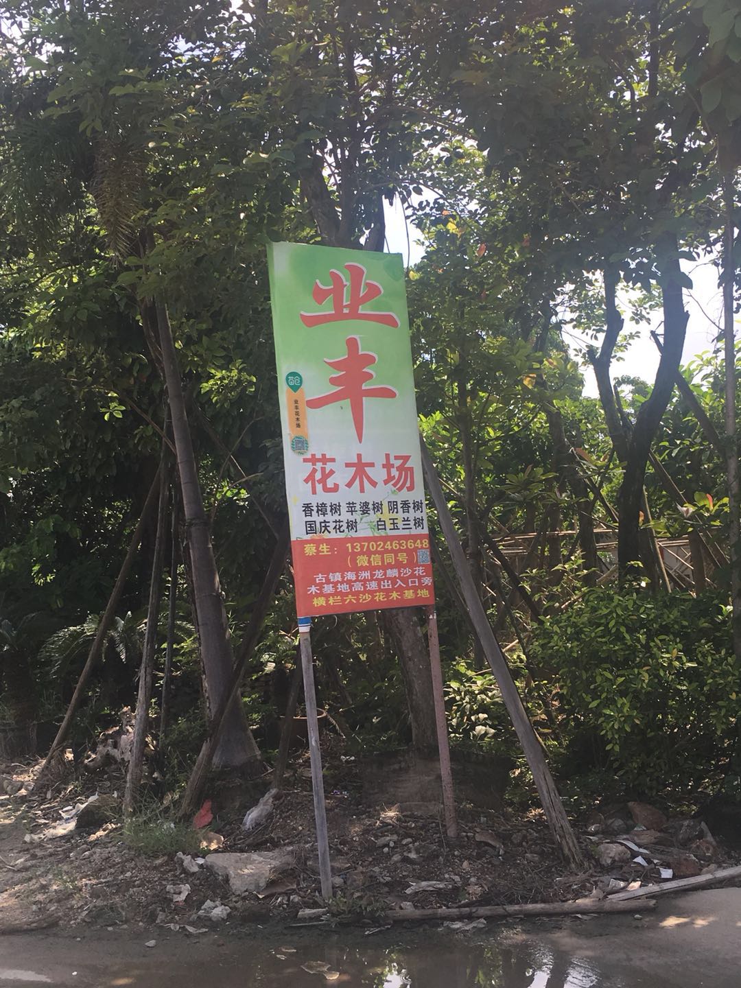 中山横栏业丰花木场