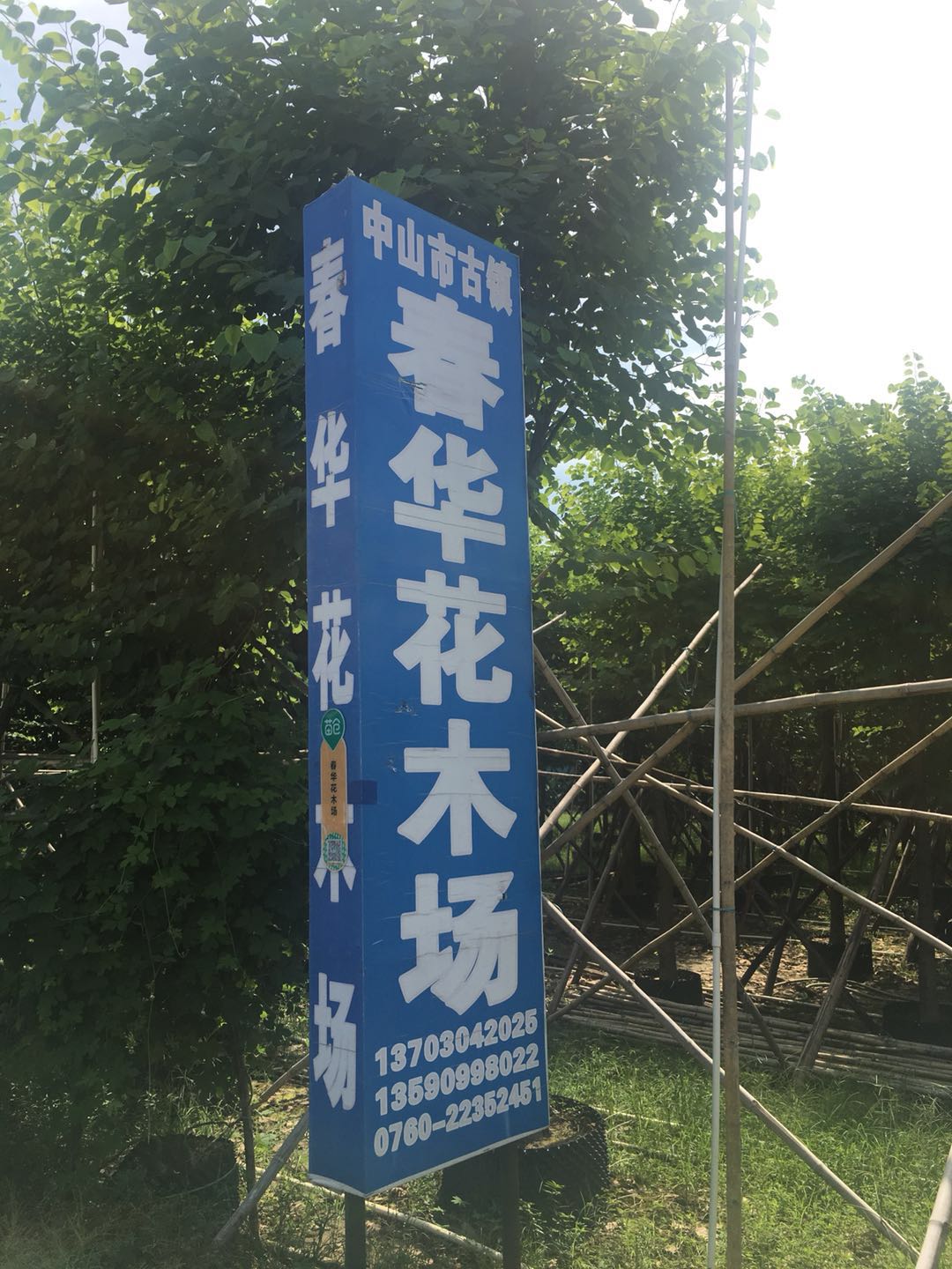 中山市古镇春华花木场