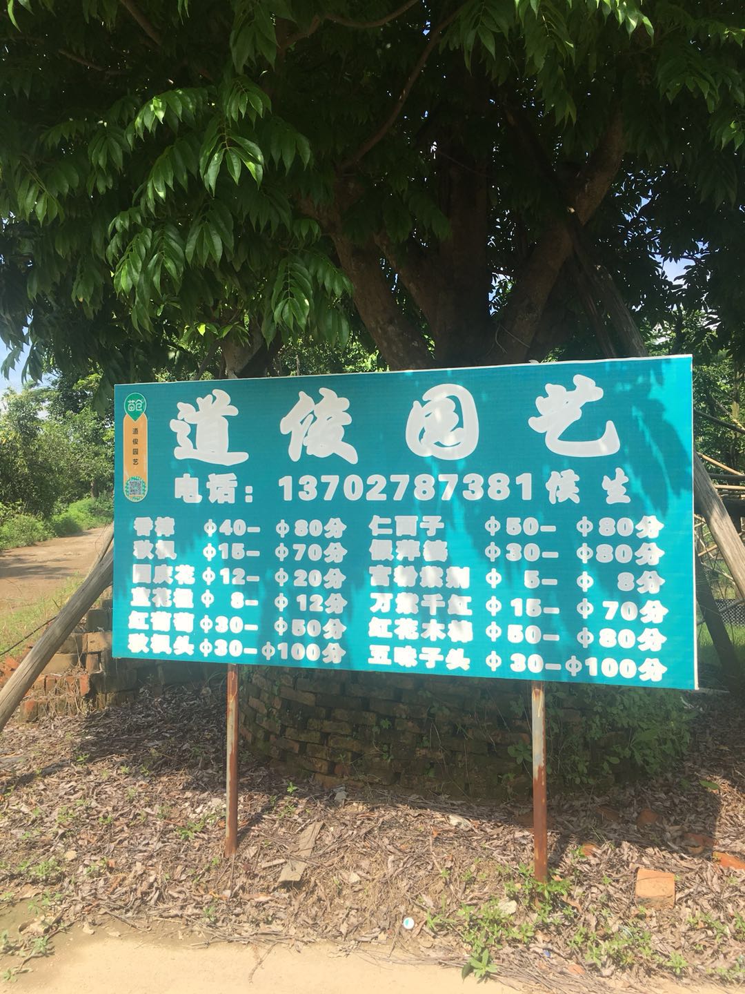 中山道俊园艺
