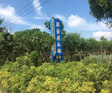 中山市翠景花木场