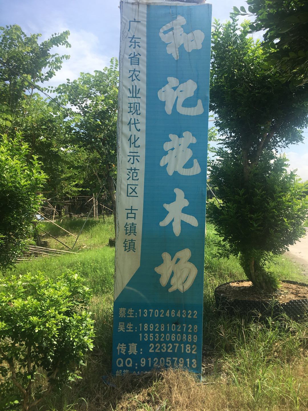 中山古镇和记花木场