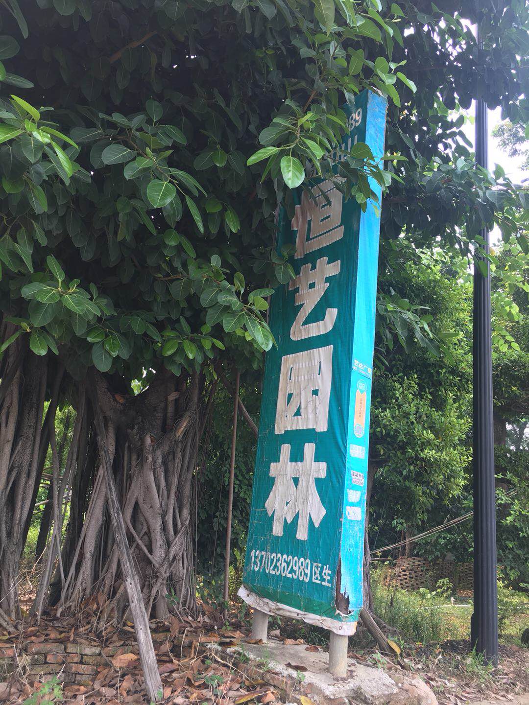 中山恒艺园林