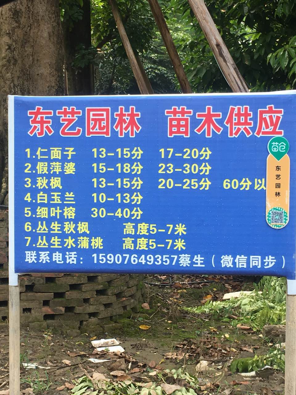 中山东艺园林