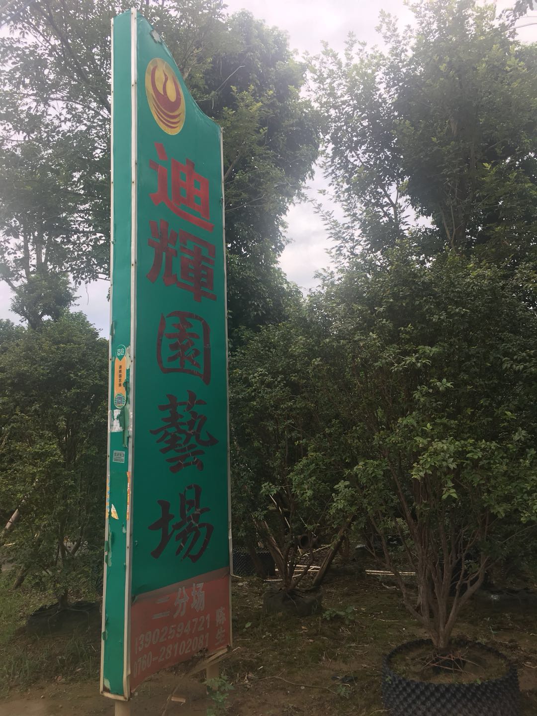 中山市迪辉园艺场