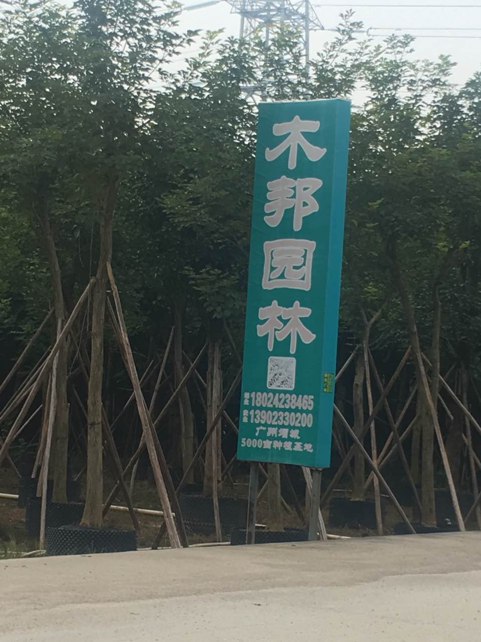 中山木邦园林