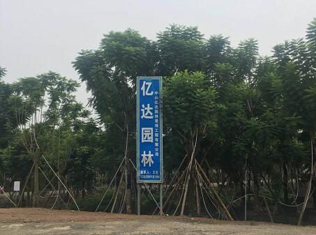 中山亿达园林