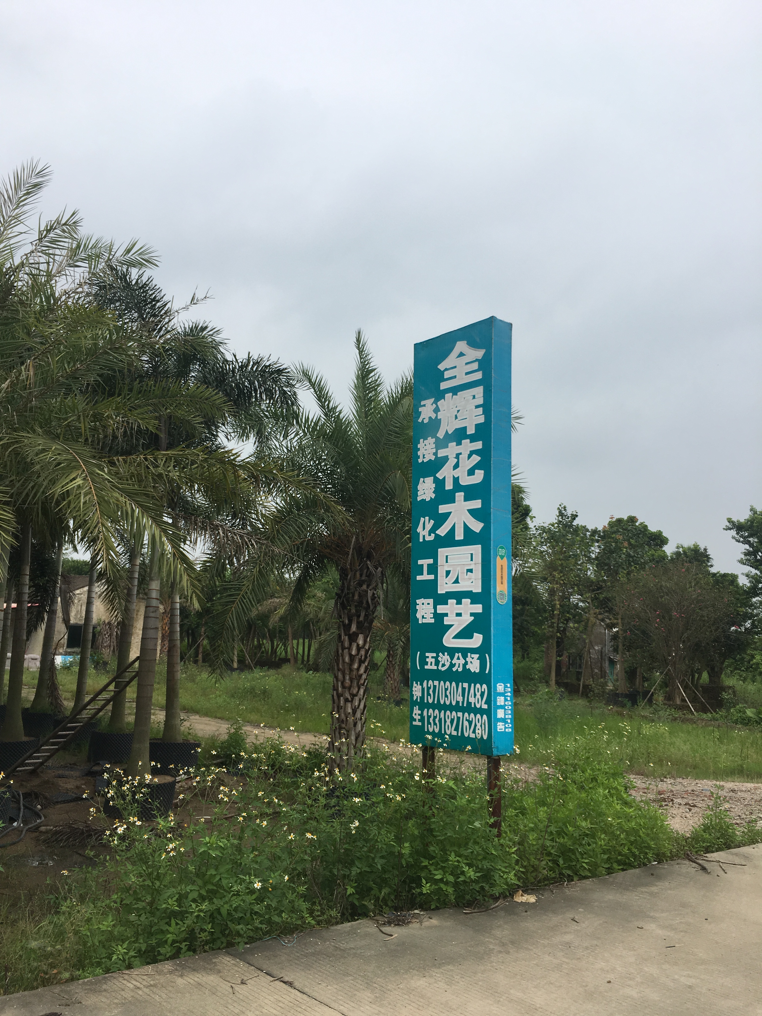 中山市全辉花木园艺