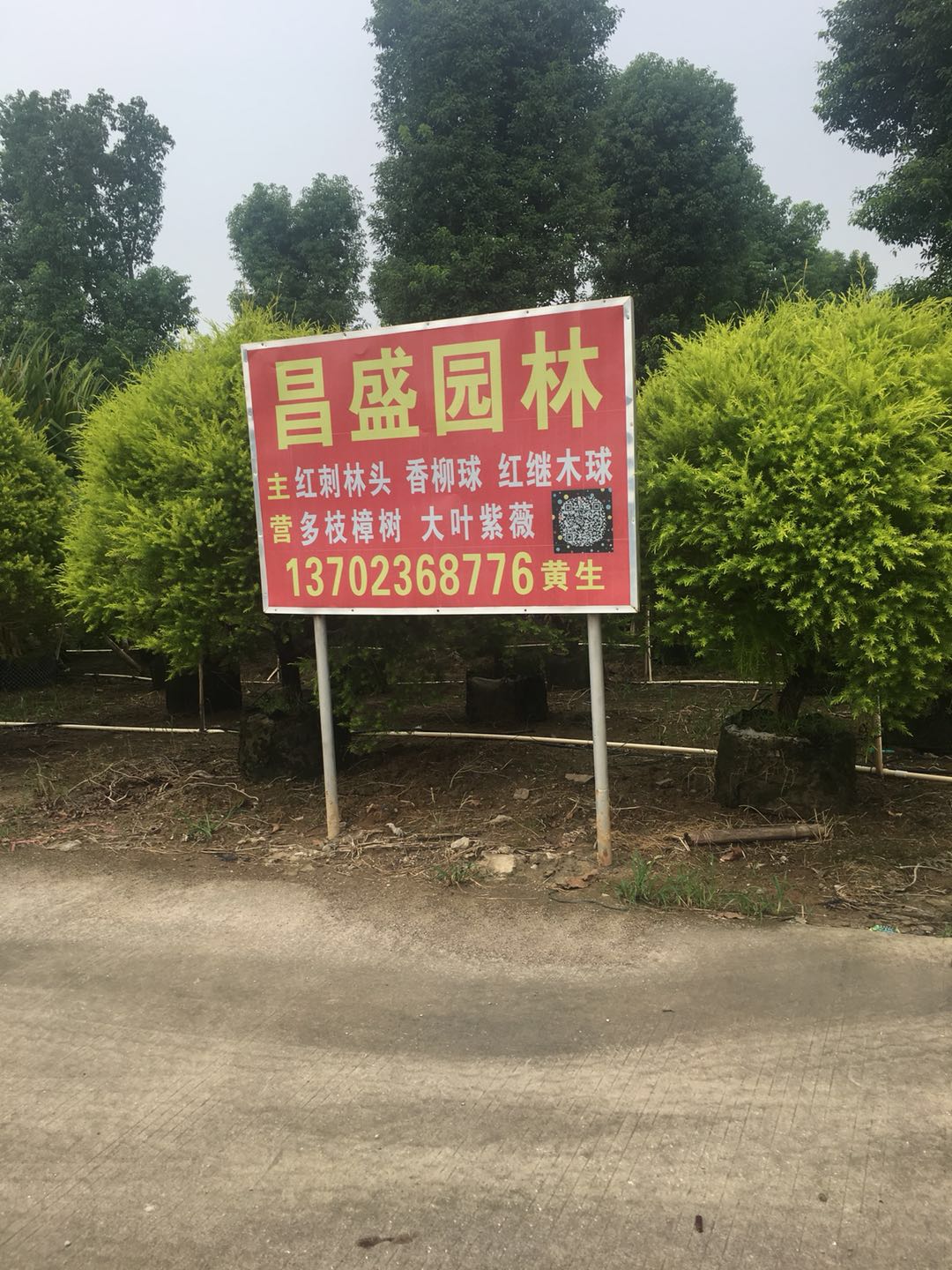 中山昌盛园林