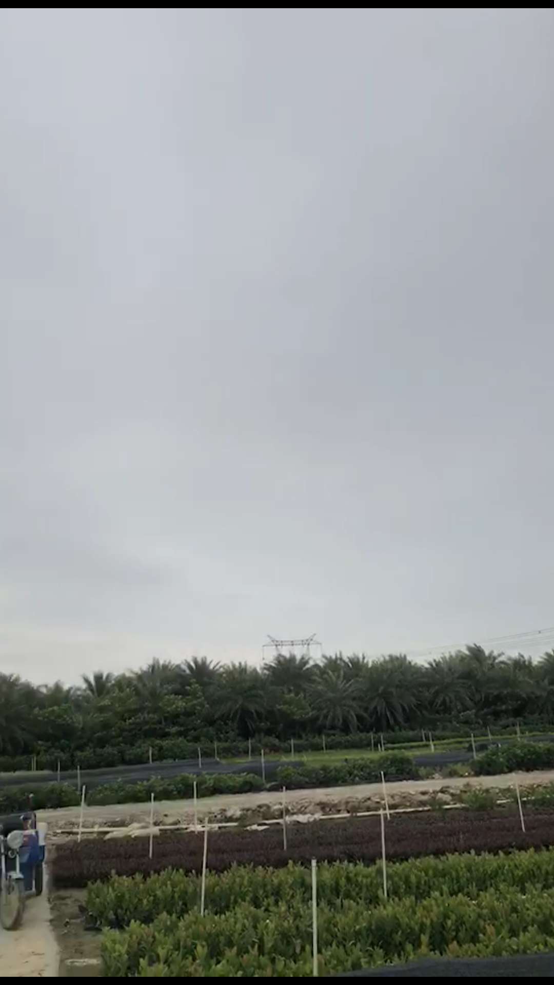 广州卉风园艺