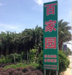 广东省中山市百家园苗木场