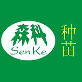 湛江市赤坎区森科园艺场