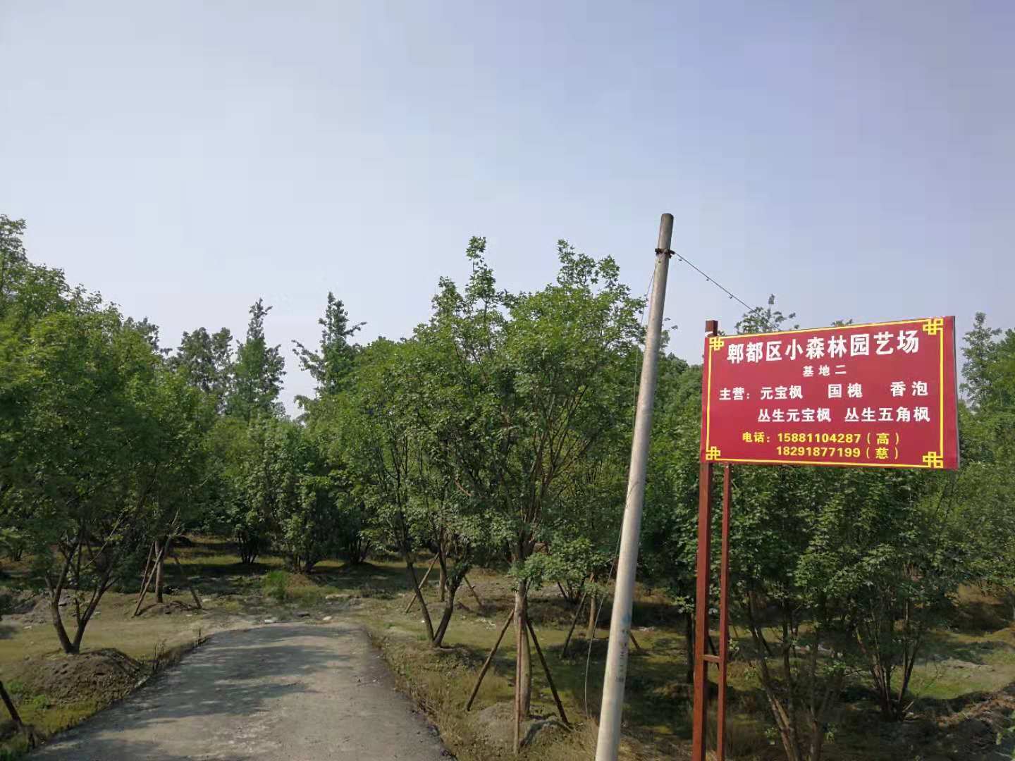 郫都区小森林园艺场