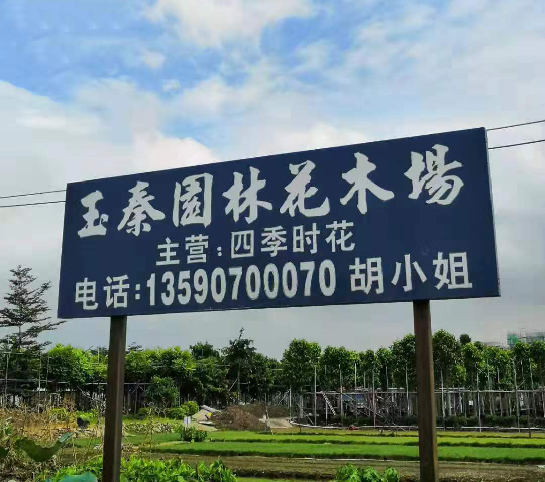 中山巿小榄玉秦园林花木场