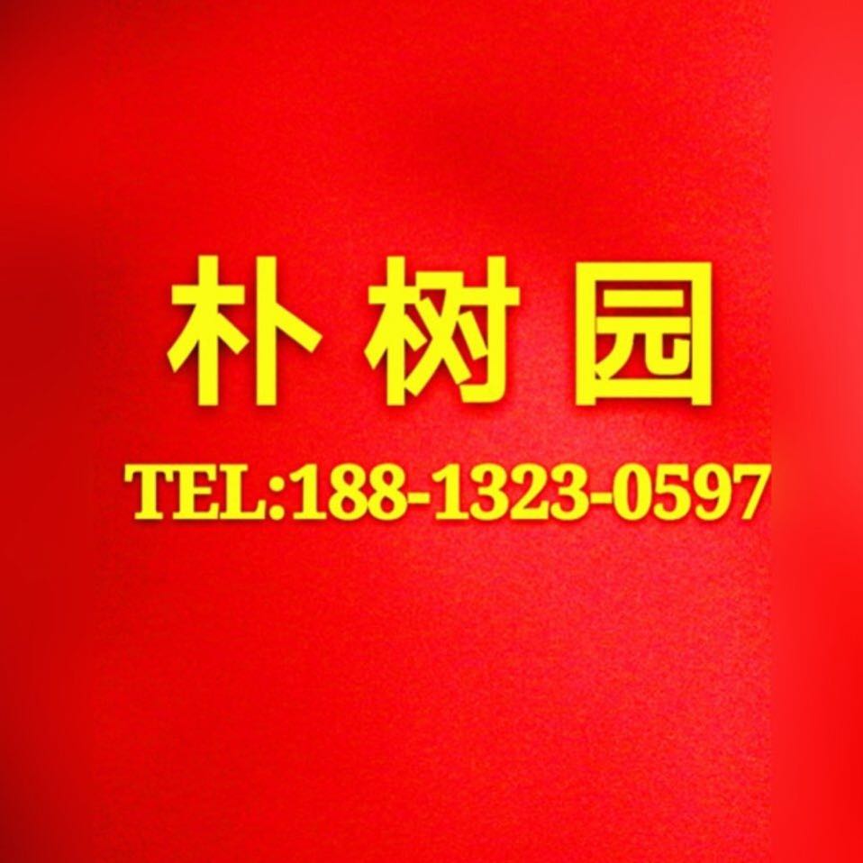 中山市朴树园