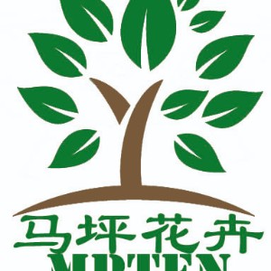 漳州市马坪花卉有限公司