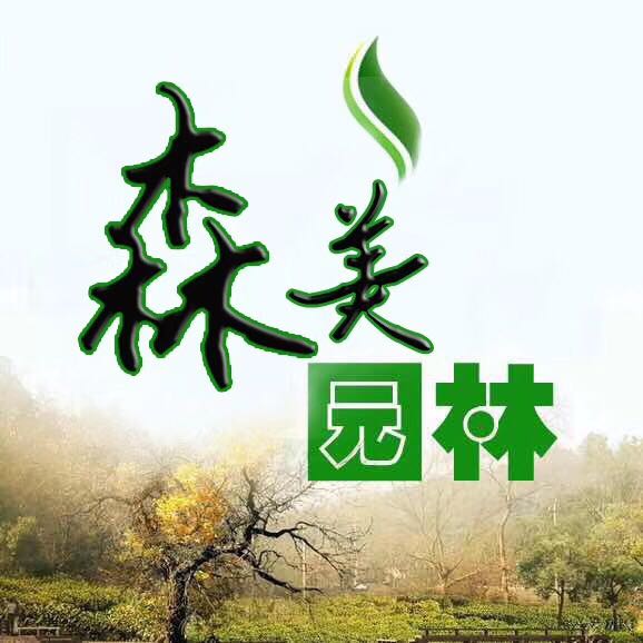 广东省中山市森美园林