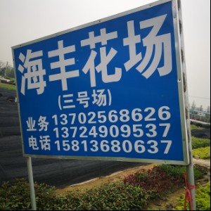 海丰花场
