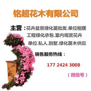 铭超商贸（广州）有限公司