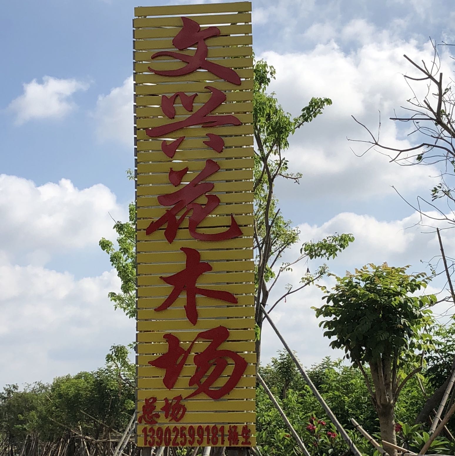中山市横栏镇文兴花木场