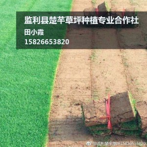 监利县楚芊草坪种植专业合作社