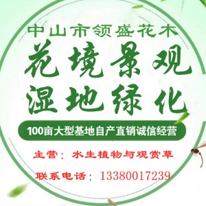 广东省中山市领盛花木生态有限公司