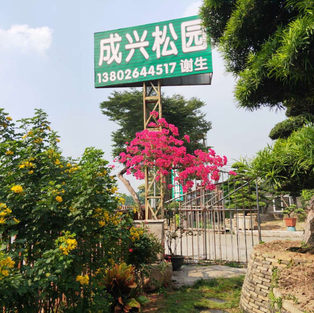 佛山市成兴松园
