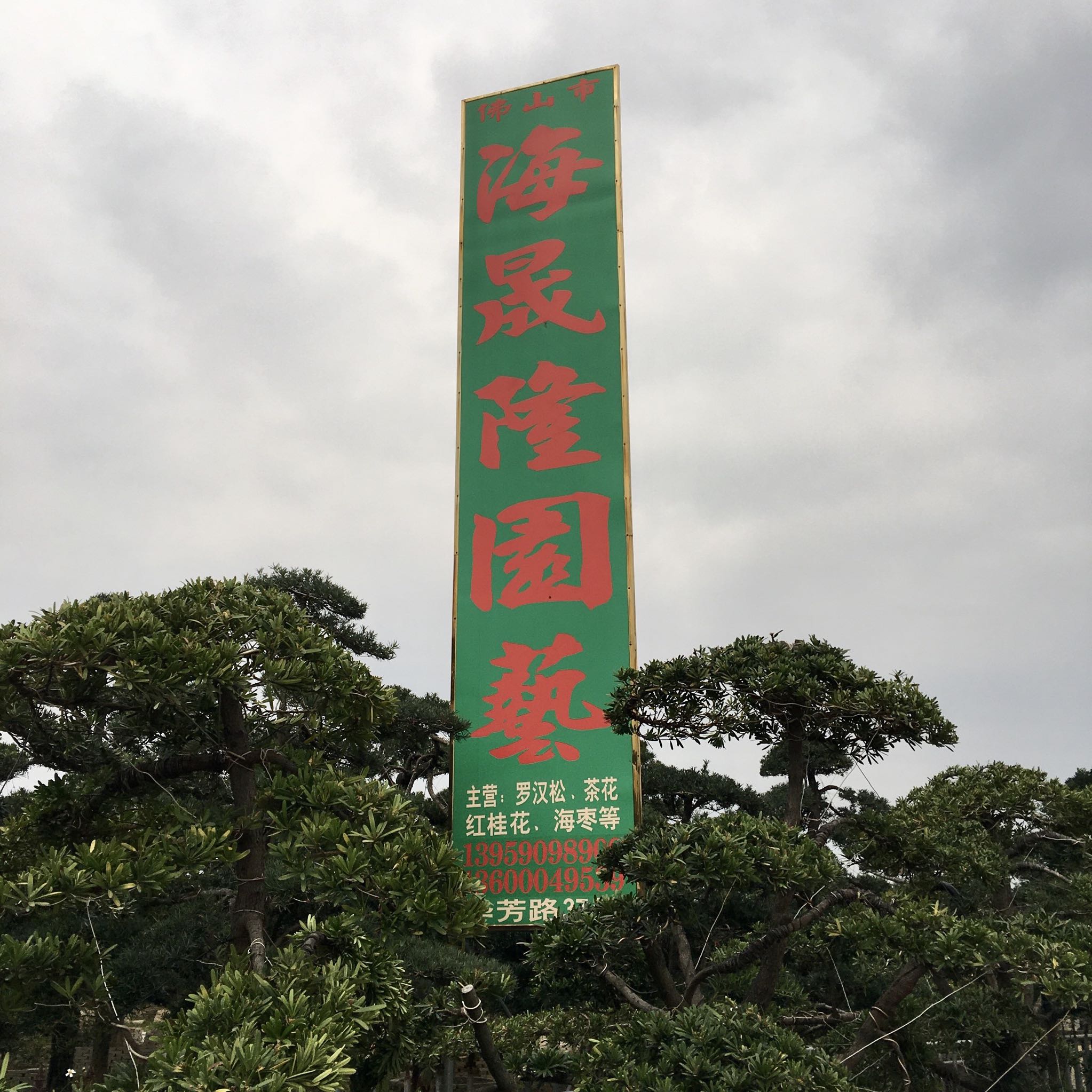 佛山市海晟隆园艺