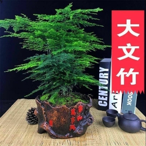 诚信林果合作社