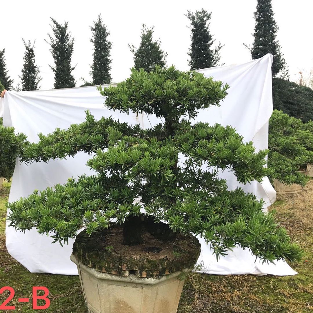 佛山市广贤园艺