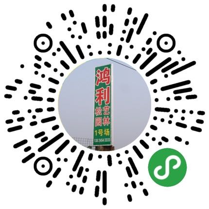 佛山市鸿利松艺园林